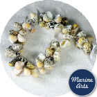 8589 - Drilled - Nerita Shell Garland